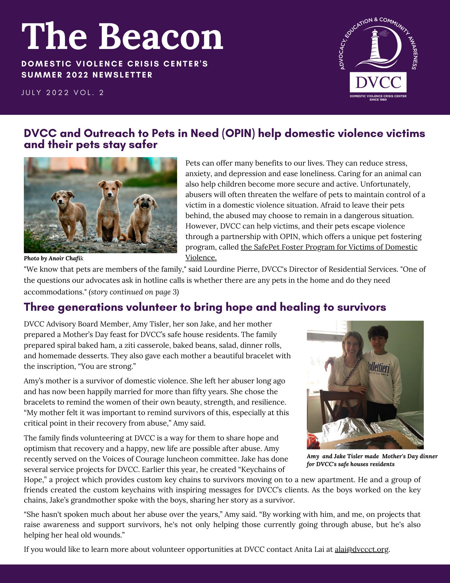 Newsletters – DOMESTIC VIOLENCE CRISIS CENTER